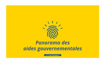 Panorama des aides gouvernementales